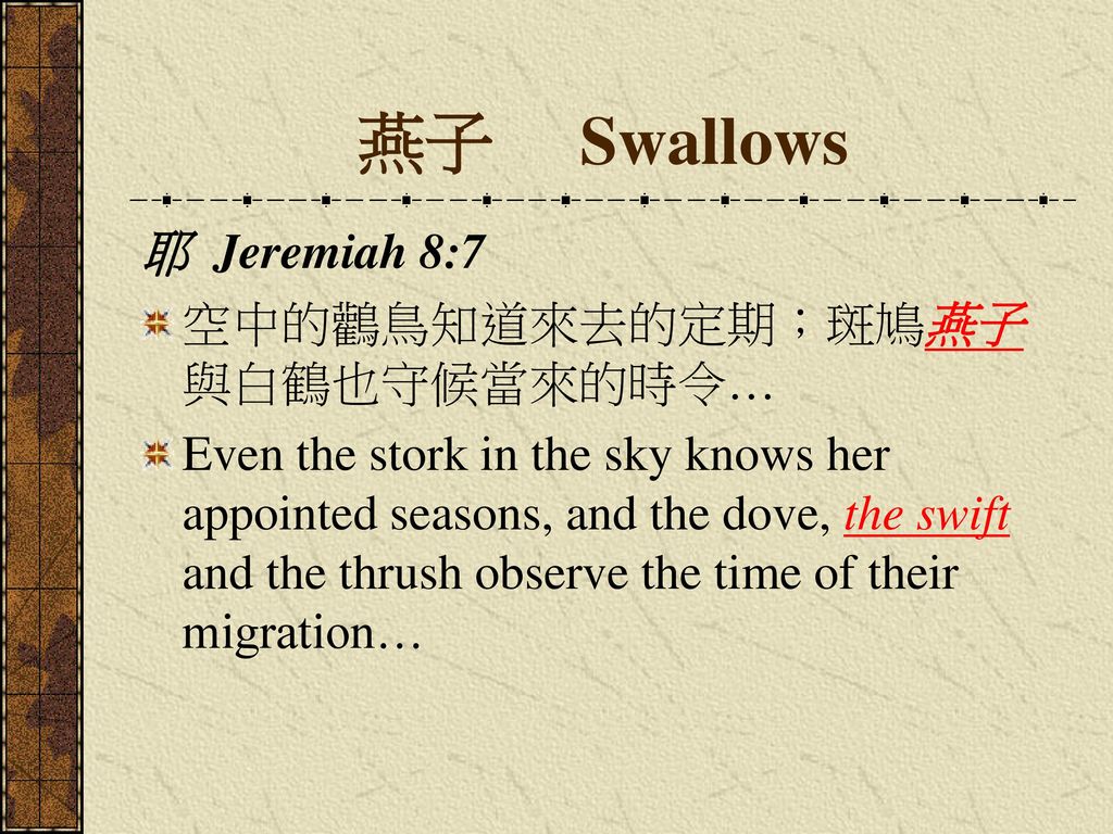 燕子 Swallows 耶 Jeremiah 8:7 空中的鸛鳥知道來去的定期；斑鳩燕子與白鶴也守候當來的時令…