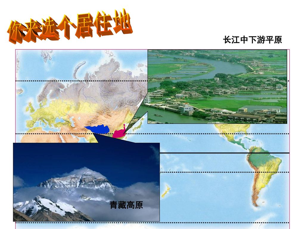 你来选个居住地 长江中下游平原 青藏高原