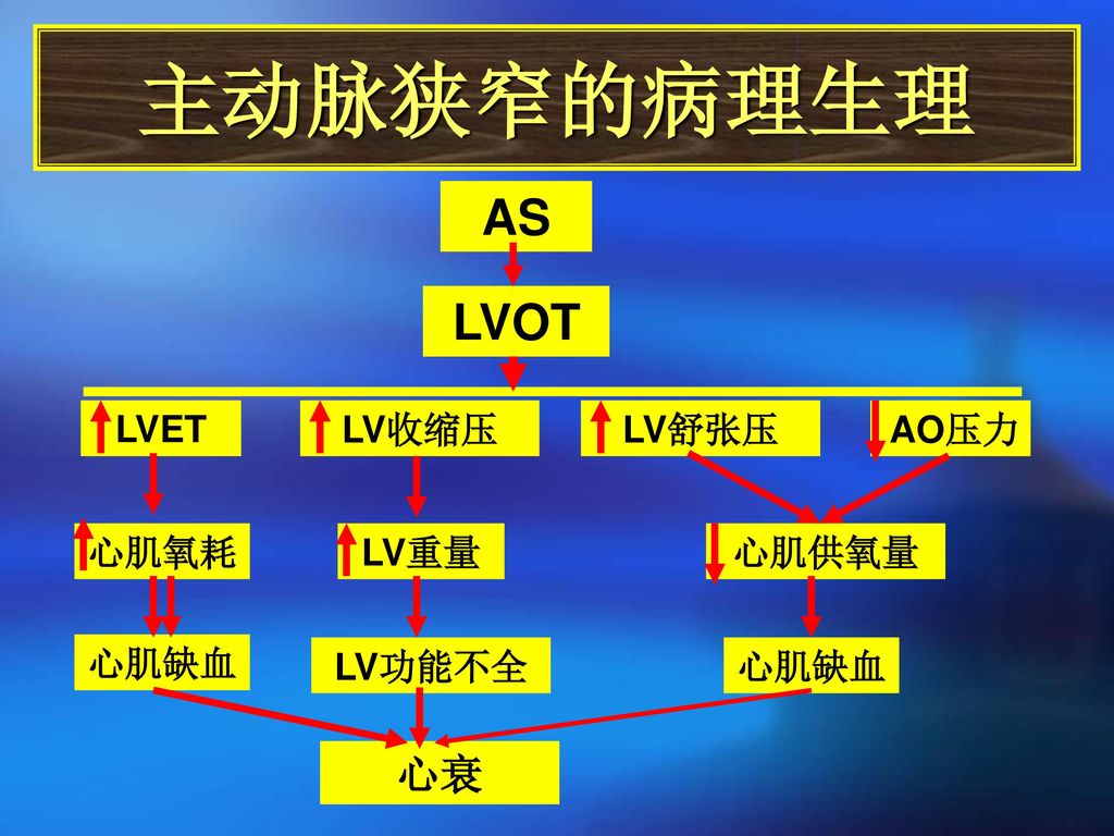 主动脉狭窄的病理生理 AS LVOT 心衰 LV收缩压 LVET LV舒张压 AO压力 LV重量 LV功能不全 心肌氧耗 心肌缺血