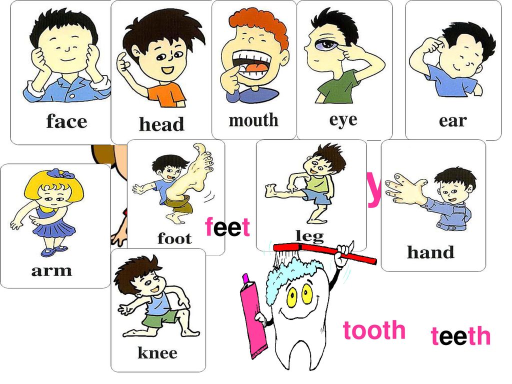 body feet tooth teeth
