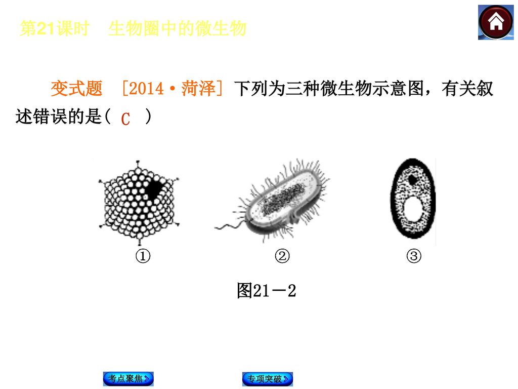 变式题 [2014·菏泽] 下列为三种微生物示意图，有关叙述错误的是( )
