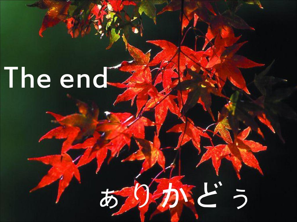 The end ぁりかどぅ