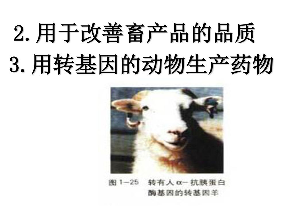 2.用于改善畜产品的品质 3.用转基因的动物生产药物