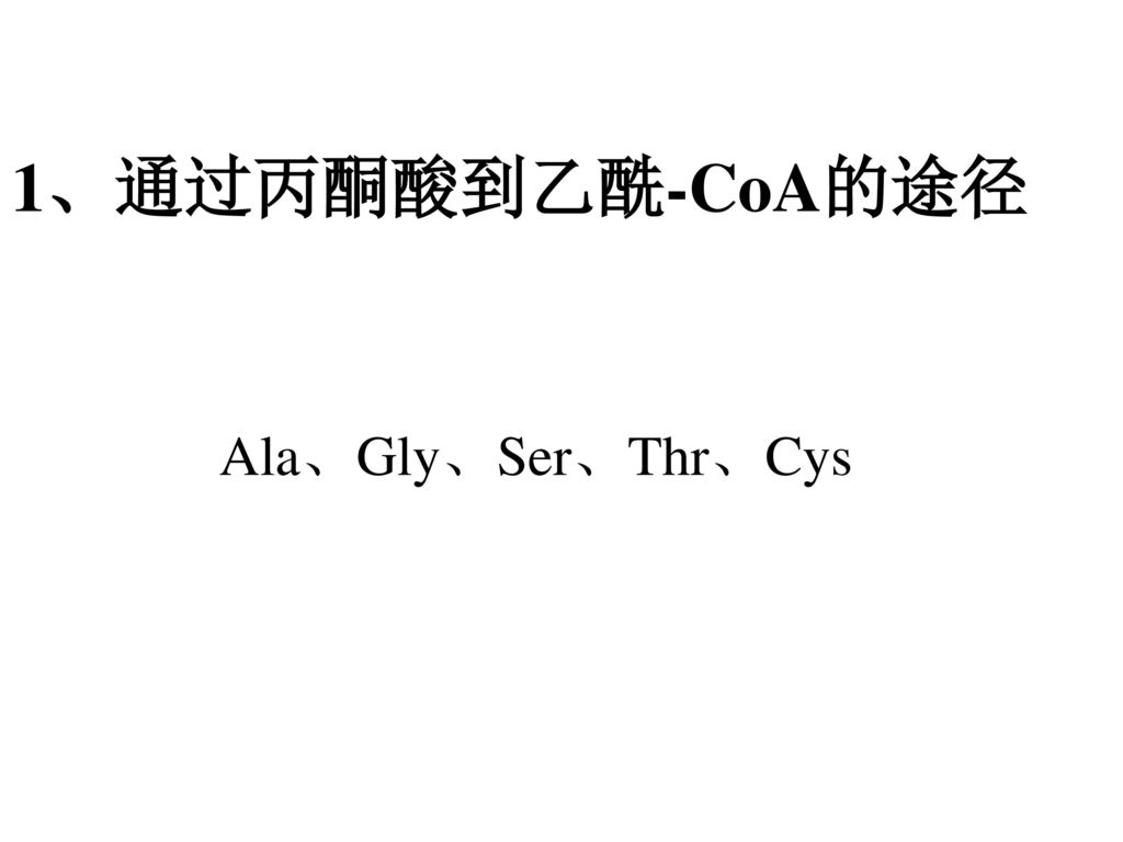 1、通过丙酮酸到乙酰-CoA的途径 Ala、Gly、Ser、Thr、Cys