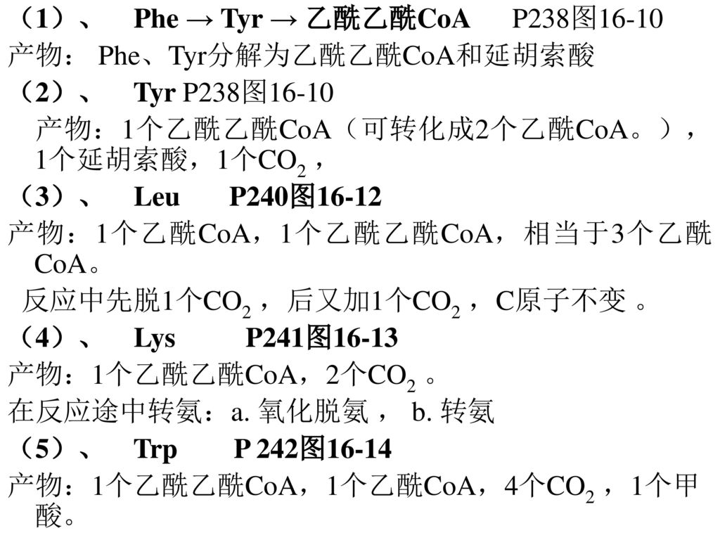 （1）、 Phe → Tyr → 乙酰乙酰CoA P238图16-10