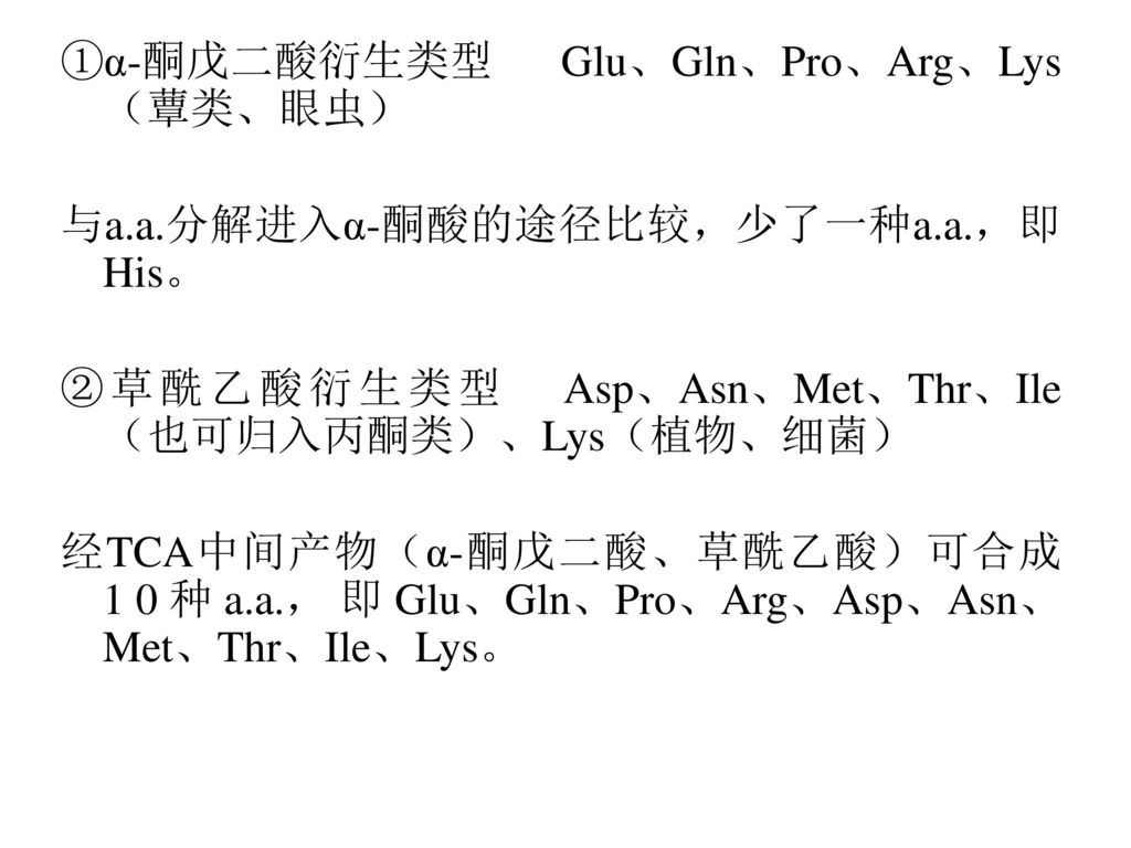 ①α-酮戊二酸衍生类型 Glu、Gln、Pro、Arg、Lys（蕈类、眼虫）
