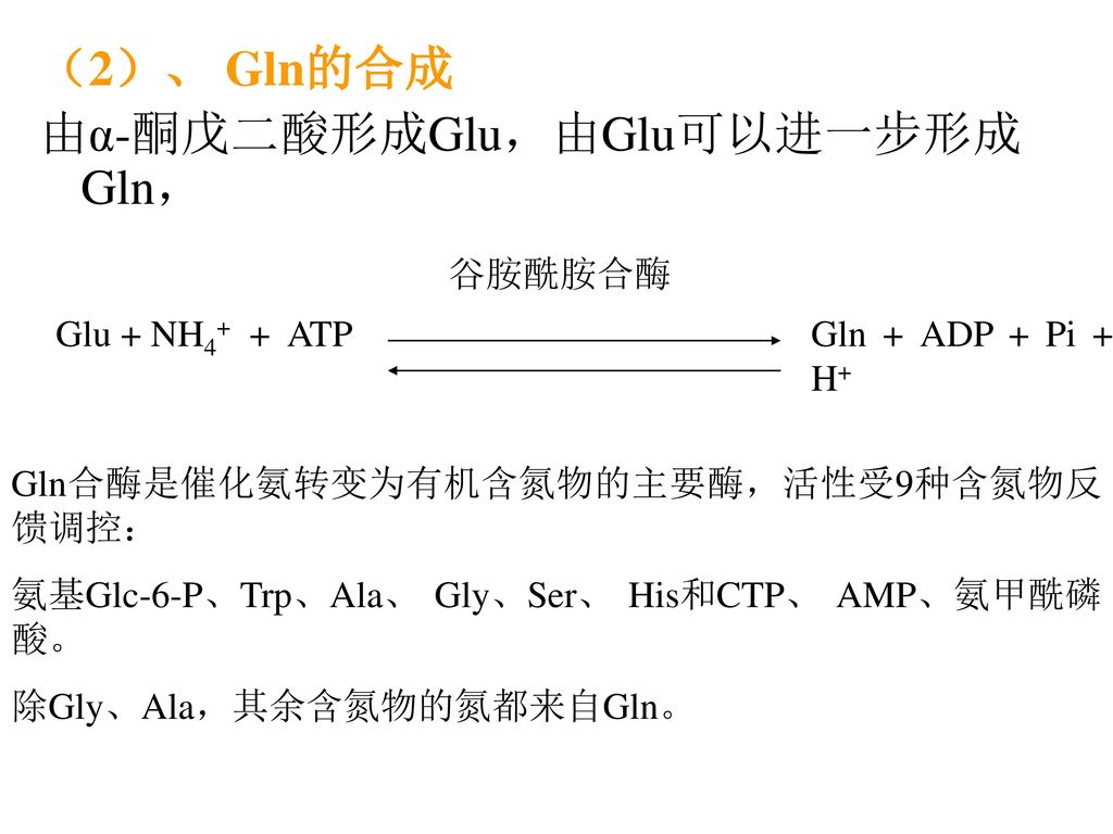由α-酮戊二酸形成Glu，由Glu可以进一步形成Gln，