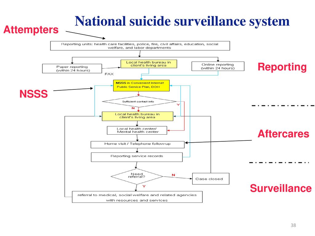 National suicide surveillance system