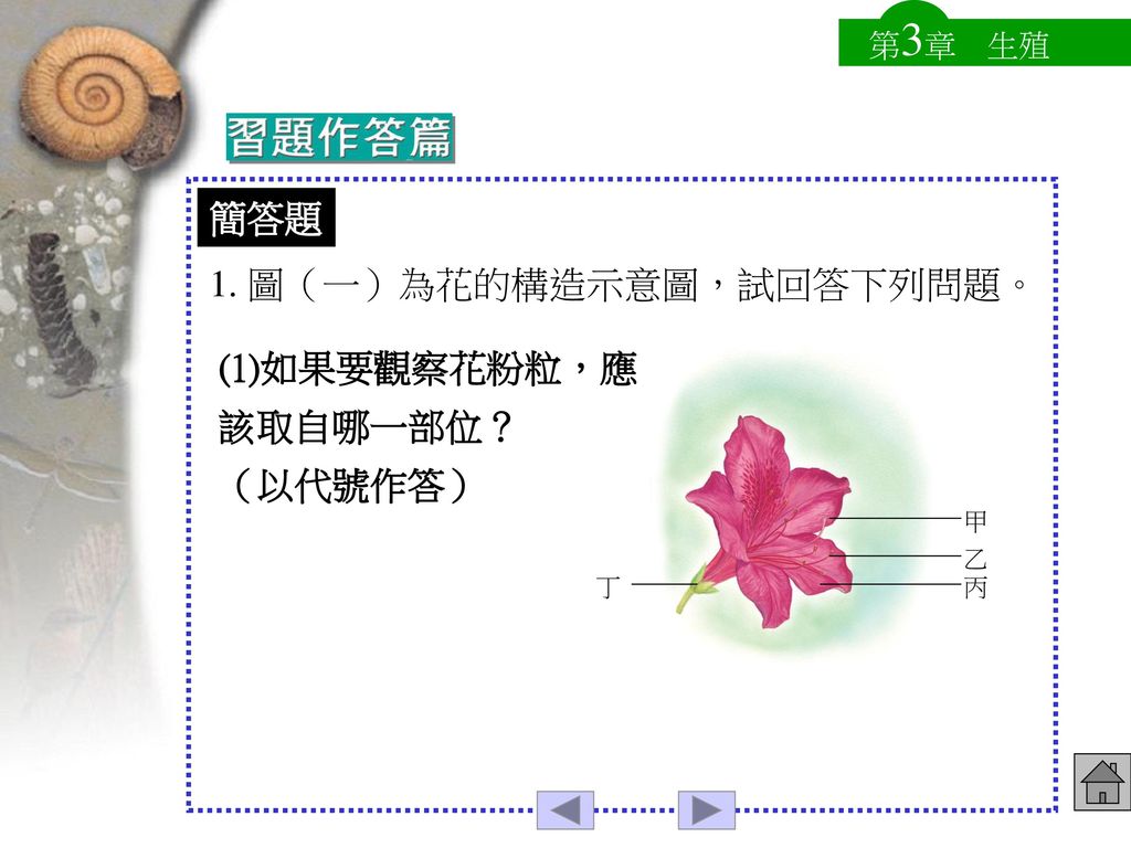 1. 圖（一）為花的構造示意圖，試回答下列問題。