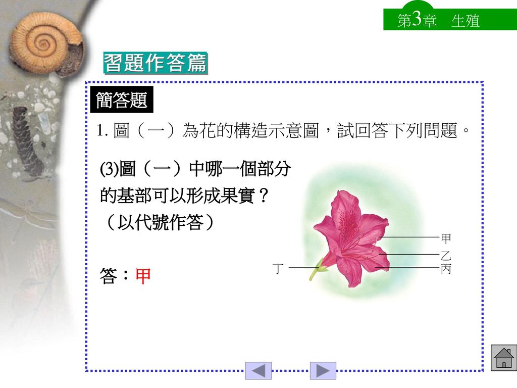 1. 圖（一）為花的構造示意圖，試回答下列問題。