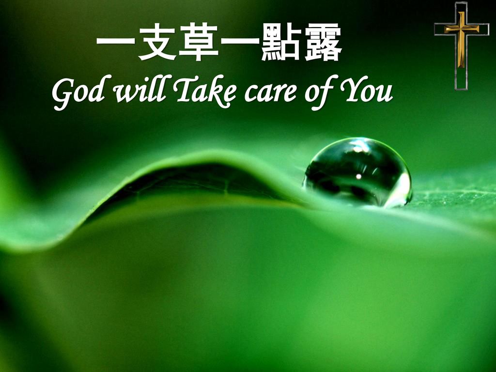God will Take care of You