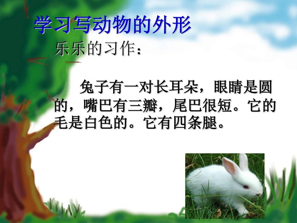 学习写动物的外形 乐乐的习作： 兔子有一对长耳朵，眼睛是圆的，嘴巴有三瓣，尾巴很短。它的毛是白色的。它有四条腿。