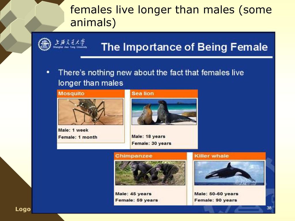 females live longer than males (some animals)