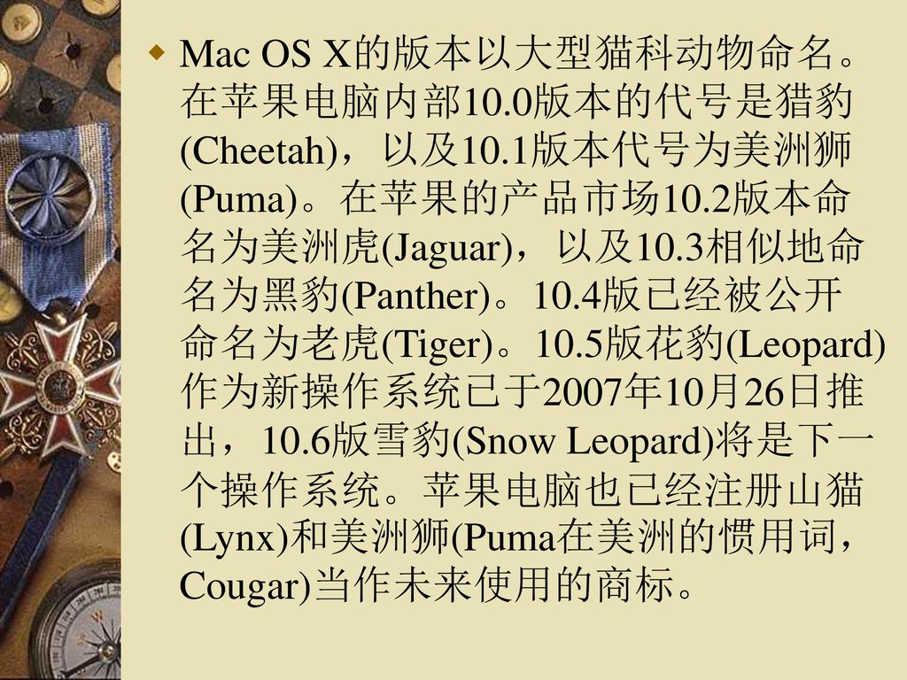 Mac OS X的版本以大型猫科动物命名。在苹果电脑内部10. 0版本的代号是猎豹(Cheetah)，以及10