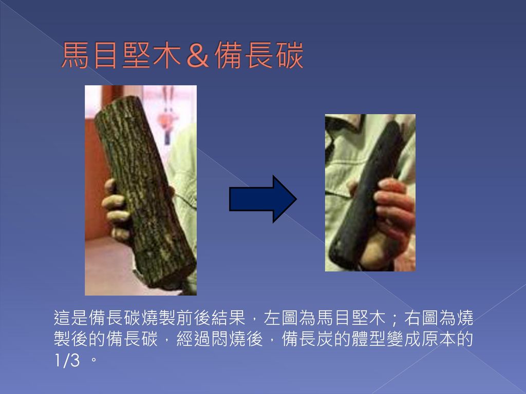 馬目堅木＆備長碳 這是備長碳燒製前後結果，左圖為馬目堅木；右圖為燒製後的備長碳，經過悶燒後，備長炭的體型變成原本的1/3 。