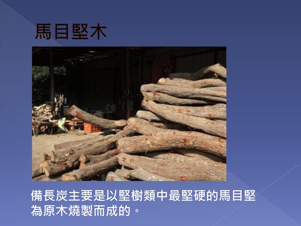 馬目堅木 備長炭主要是以堅樹類中最堅硬的馬目堅為原木燒製而成的。