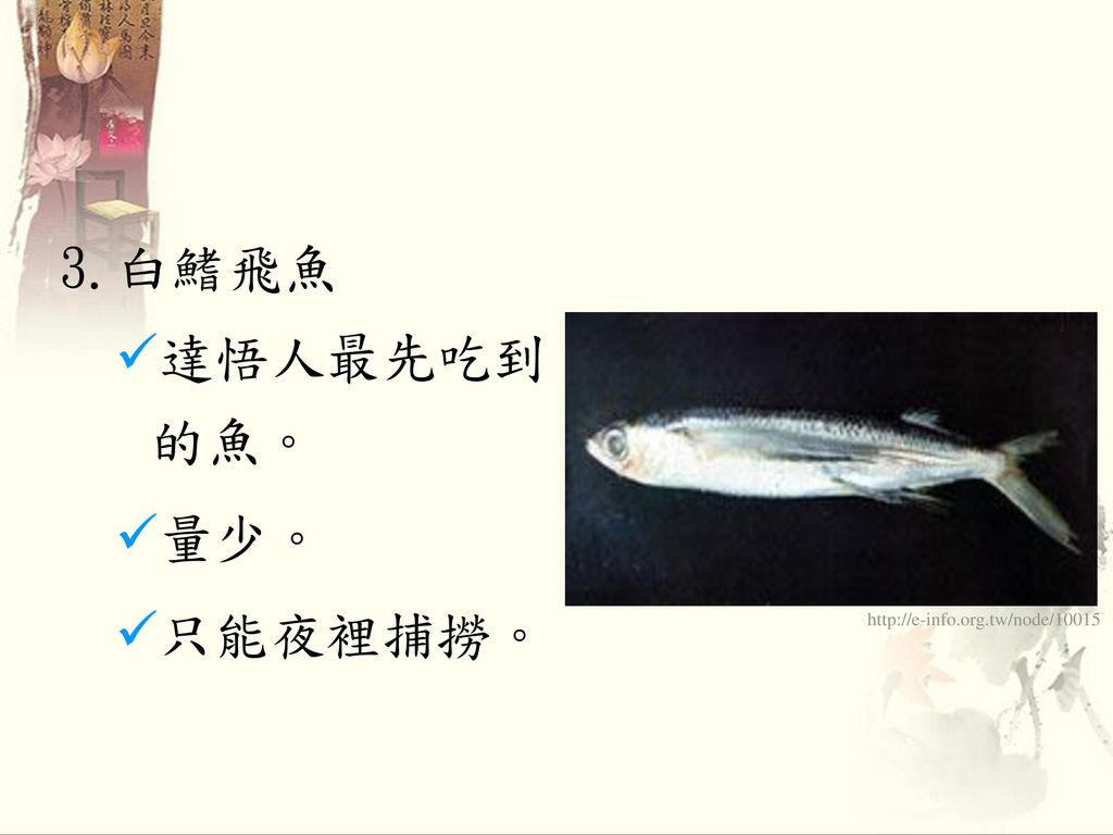 3.白鰭飛魚 達悟人最先吃到 的魚。 量少。 只能夜裡捕撈。