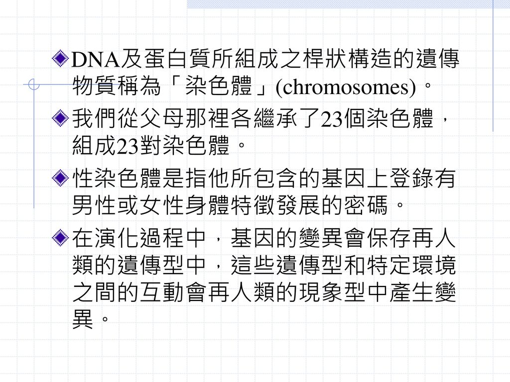 DNA及蛋白質所組成之桿狀構造的遺傳物質稱為「染色體」(chromosomes)。