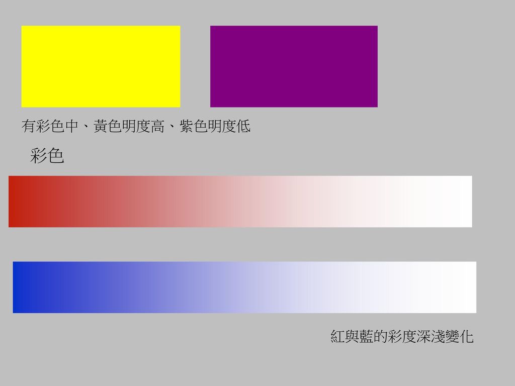 有彩色中、黃色明度高、紫色明度低 彩色 紅與藍的彩度深淺變化