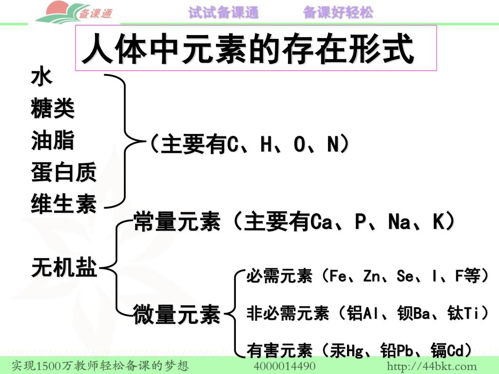 人体中元素的存在形式 水 糖类 油脂 蛋白质 维生素 （主要有C、H、O、N） 常量元素（主要有Ca、P、Na、K） 无机盐 微量元素