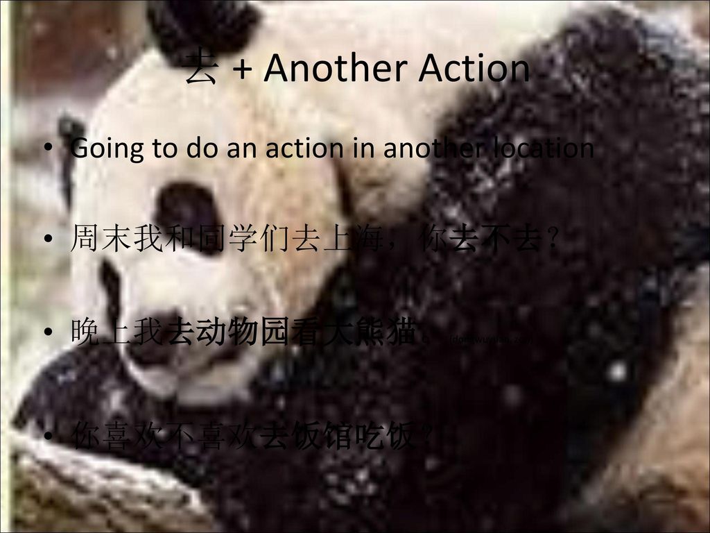 去 + Another Action Going to do an action in another location