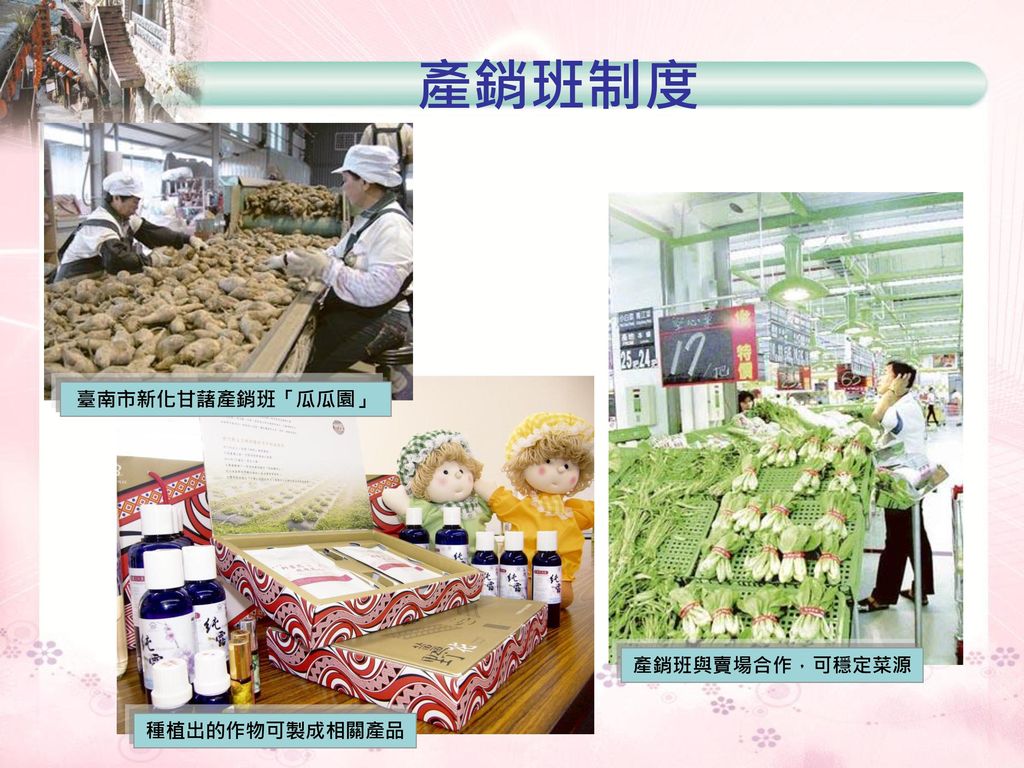 產銷班制度 臺南市新化甘藷產銷班「瓜瓜園」 產銷班與賣場合作，可穩定菜源 種植出的作物可製成相關產品
