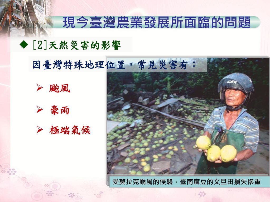 現今臺灣農業發展所面臨的問題 [2]天然災害的影響 因臺灣特殊地理位置，常見災害有： 颱風 豪雨 極端氣候