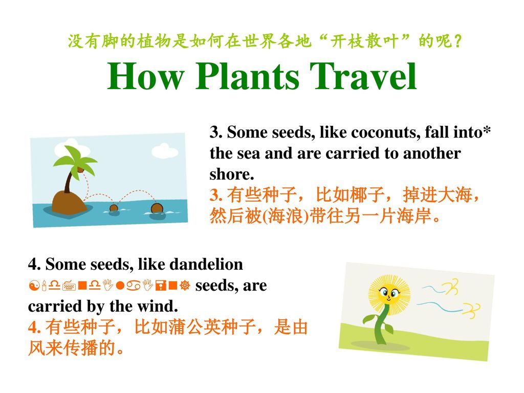 没有脚的植物是如何在世界各地 开枝散叶 的呢？