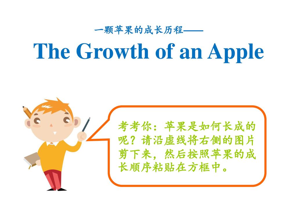 The Growth of an Apple 考考你：苹果是如何长成的呢？请沿虚线将右侧的图片剪下来，然后按照苹果的成长顺序粘贴在方框中。
