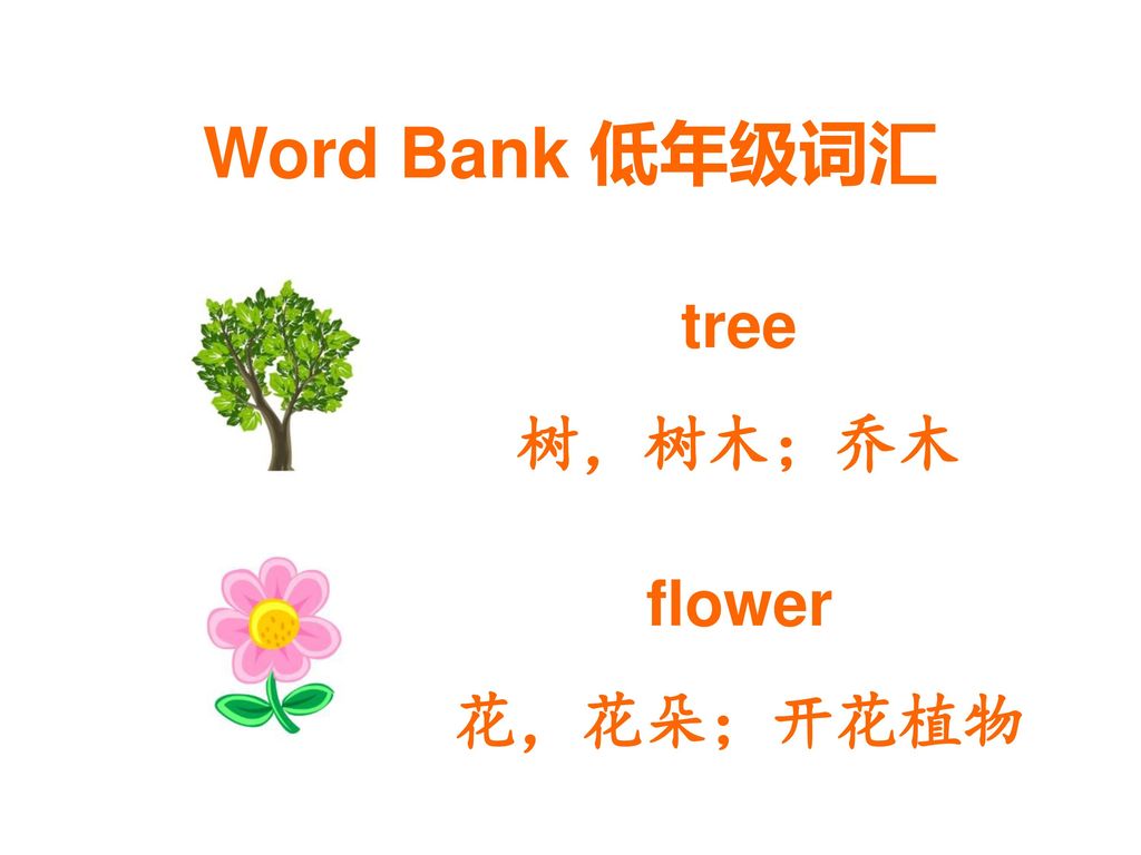 Word Bank 低年级词汇 tree 树，树木；乔木 flower 花，花朵；开花植物