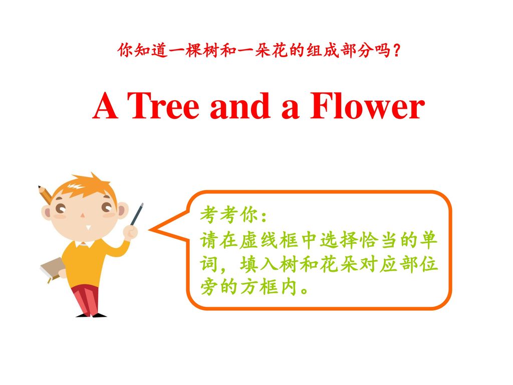 A Tree and a Flower 考考你： 请在虚线框中选择恰当的单词，填入树和花朵对应部位旁的方框内。