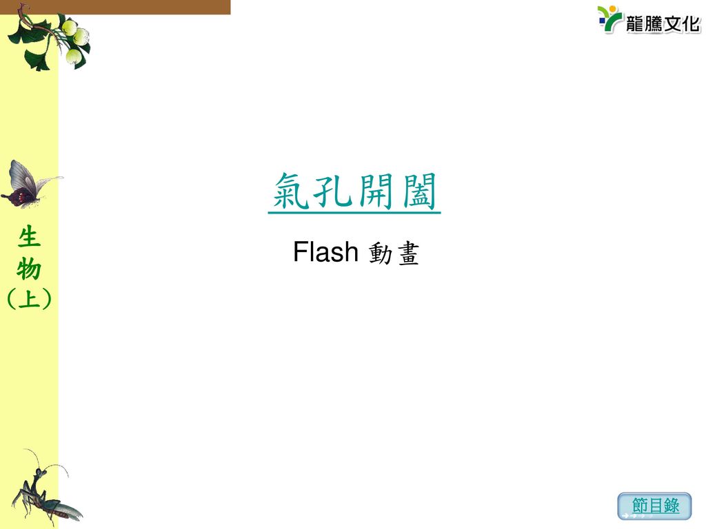 氣孔開闔 Flash 動畫