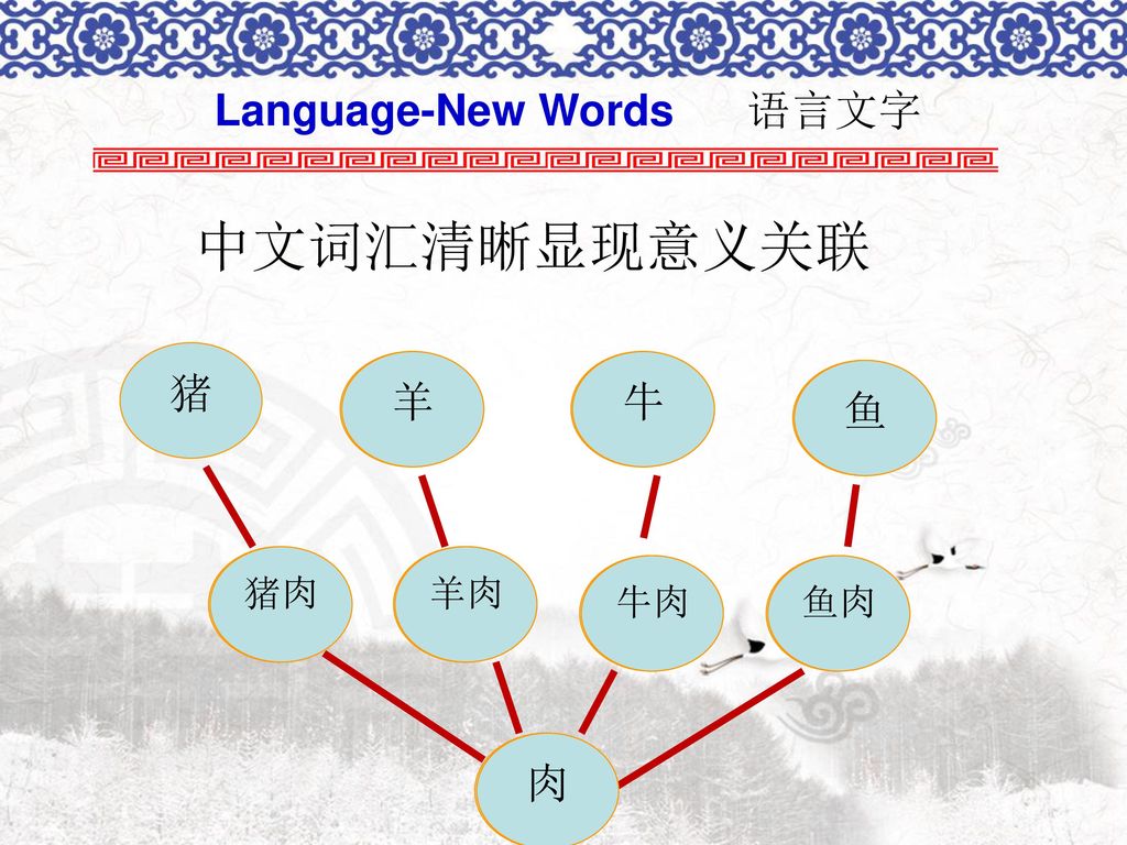 Language-New Words 语言文字