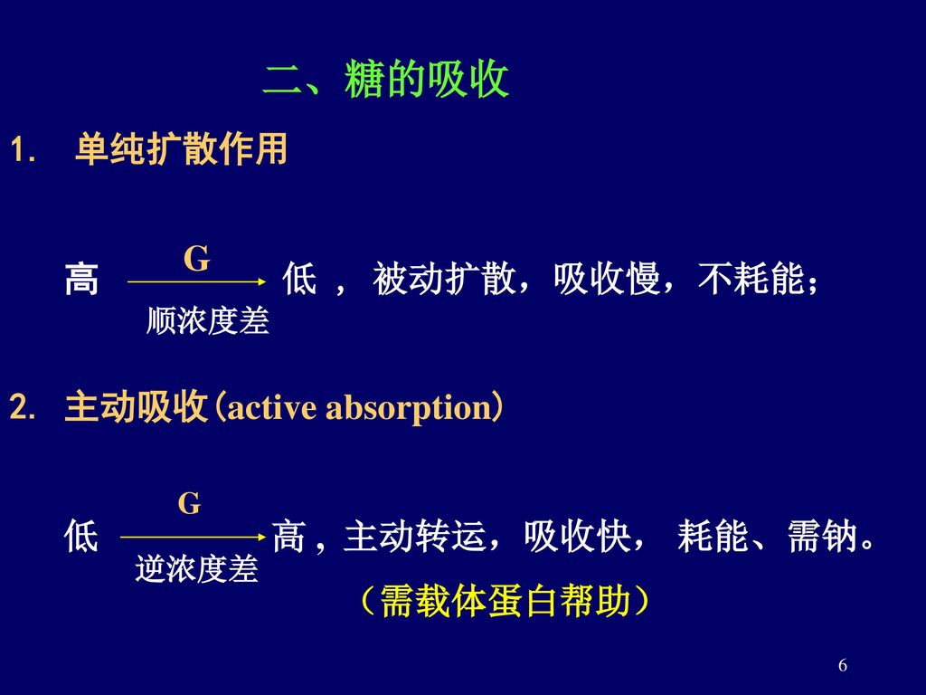 2. 主动吸收(active absorption)