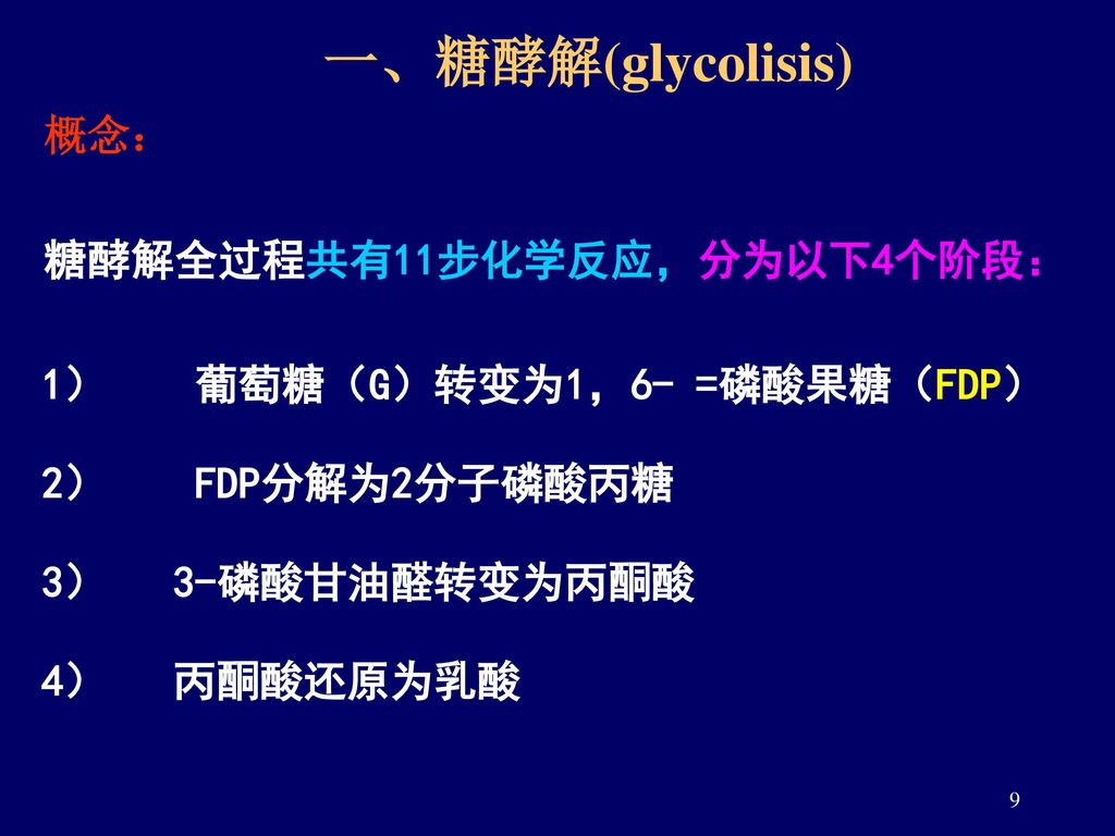 一、糖酵解(glycolisis) 概念： 糖酵解全过程共有11步化学反应，分为以下4个阶段：