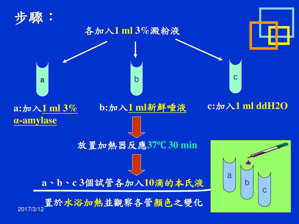 步驟： 各加入1 ml 3%澱粉液 c:加入1 ml ddH2O a:加入1 ml 3% b:加入1 ml新鮮唾液 α-amylase