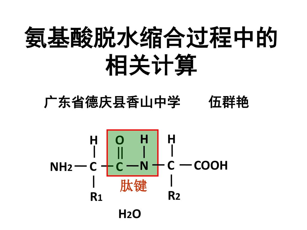 氨基酸脱水缩合过程中的相关计算 广东省德庆县香山中学 伍群艳 H O C H COOH R2 N NH2 C C 肽键 R1 H2O