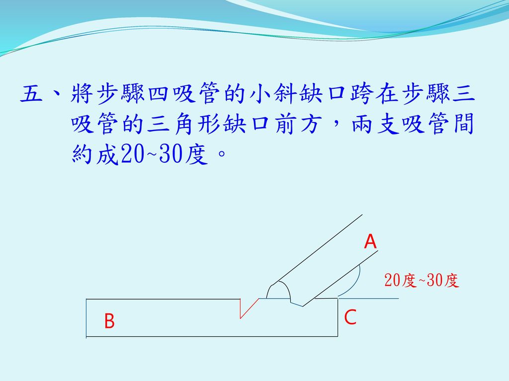 五、將步驟四吸管的小斜缺口跨在步驟三 吸管的三角形缺口前方，兩支吸管間 約成20~30度。 20度~30度 B A C