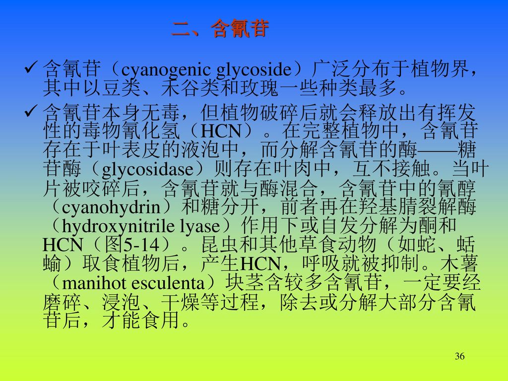 二、含氰苷 含氰苷（cyanogenic glycoside）广泛分布于植物界，其中以豆类、禾谷类和玫瑰一些种类最多。