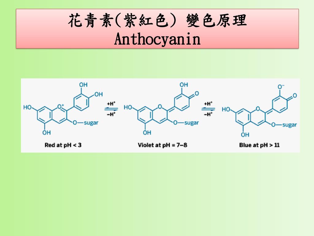 Anthocyanin Colored Bamboo Copter Ppt Download