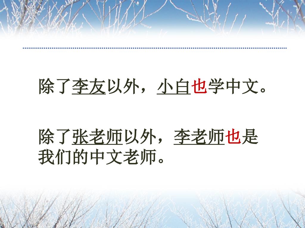除了李友以外，小白也学中文。 除了张老师以外，李老师也是我们的中文老师。