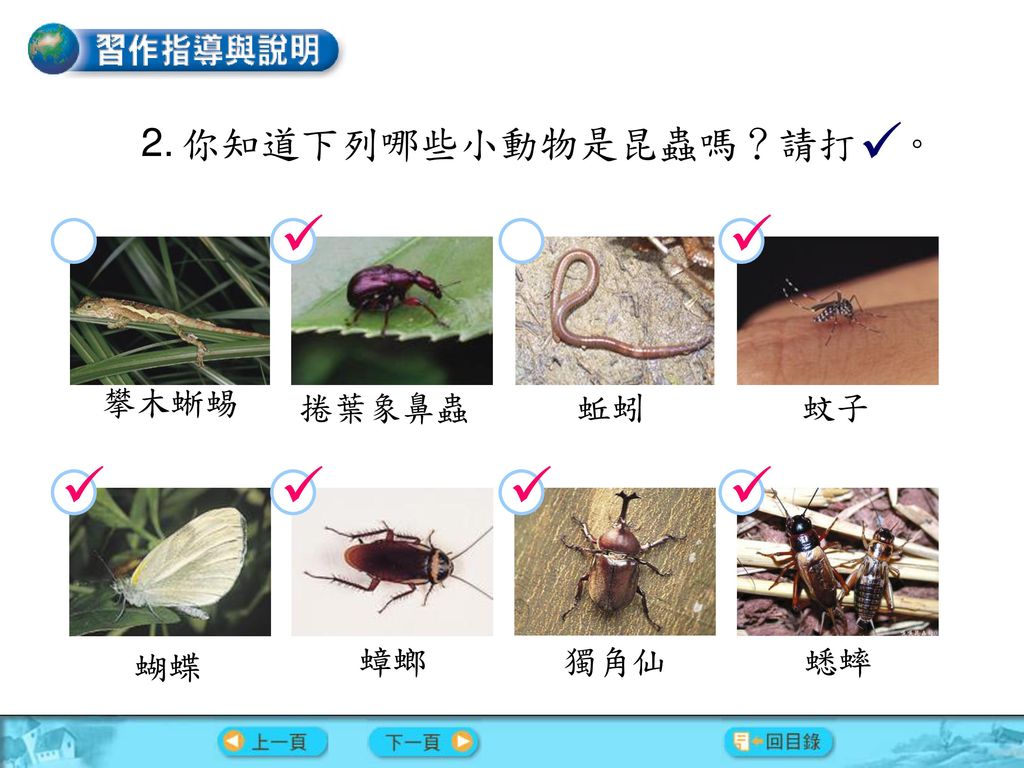 習作內容  你知道下列哪些小動物是昆蟲嗎？請打 。   攀木蜥蜴 捲葉象鼻蟲 蚯蚓 蚊子     蝴蝶 蟑螂 獨角仙 蟋蟀