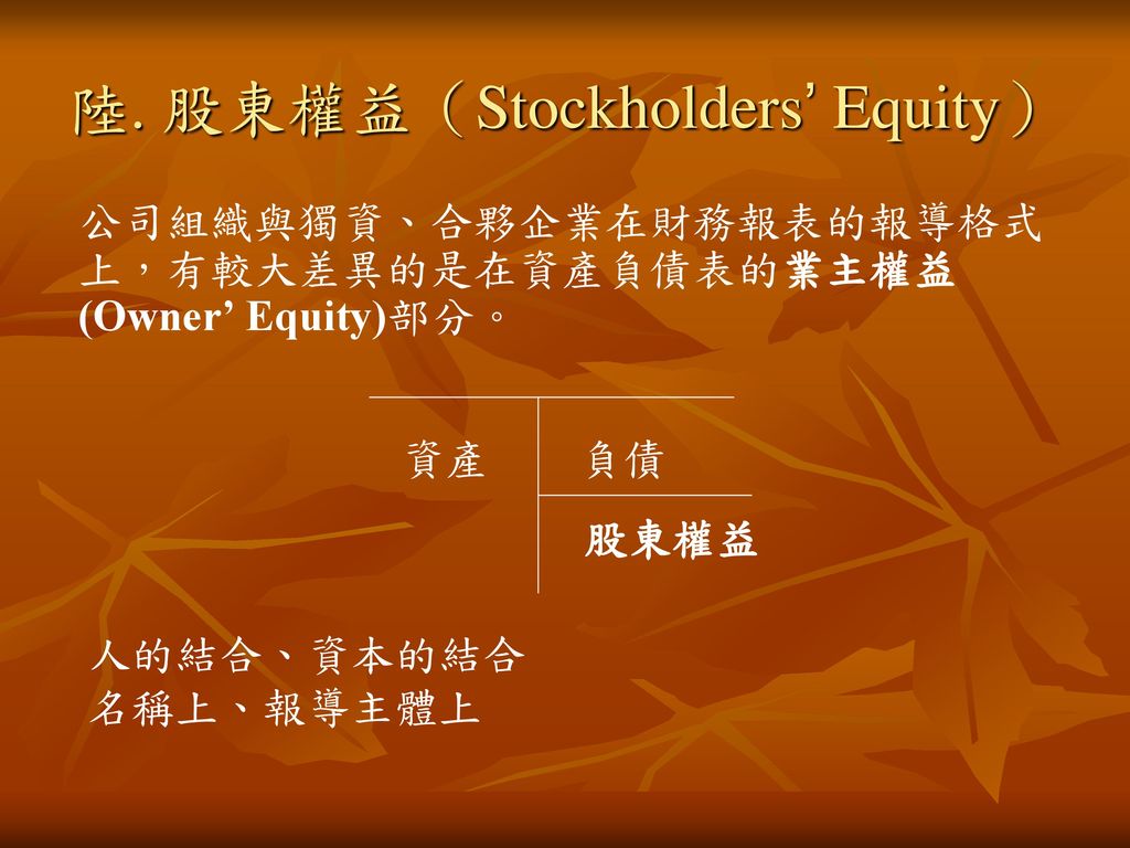 陸. 股東權益（Stockholders’ Equity）
