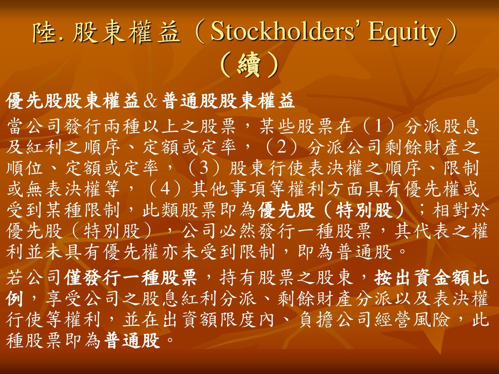 陸. 股東權益（Stockholders’ Equity）（續）