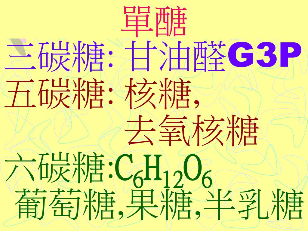 單醣 三碳糖: 甘油醛G3P 五碳糖: 核糖, 去氧核糖 六碳糖:C6H12O6 葡萄糖,果糖,半乳糖