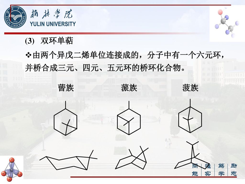(3) 双环单萜 由两个异戊二烯单位连接成的，分子中有一个六元环，并桥合成三元、四元、五元环的桥环化合物。 蒈族 蒎族 菠族