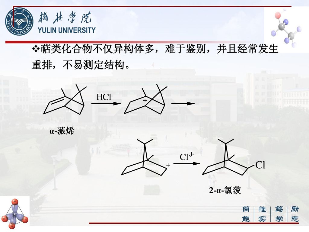 萜类化合物不仅异构体多，难于鉴别，并且经常发生重排，不易测定结构。