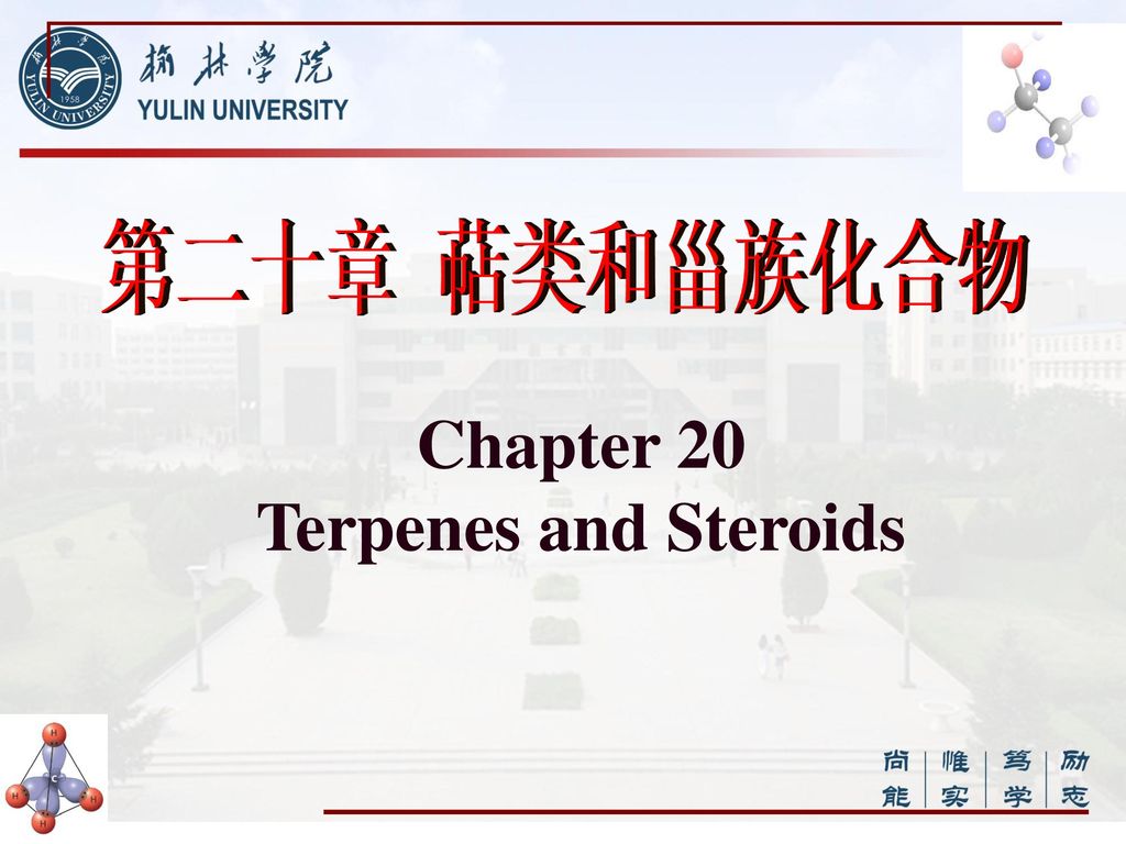 第二十章 萜类和甾族化合物 Chapter 20 Terpenes and Steroids