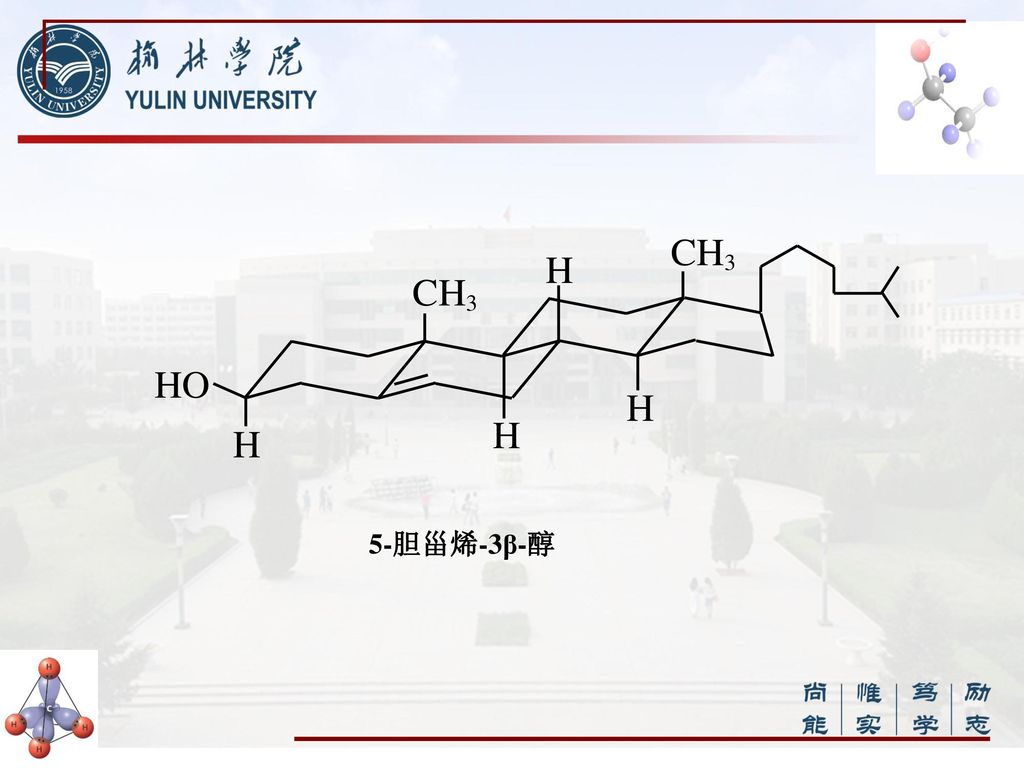 5-胆甾烯-3β-醇