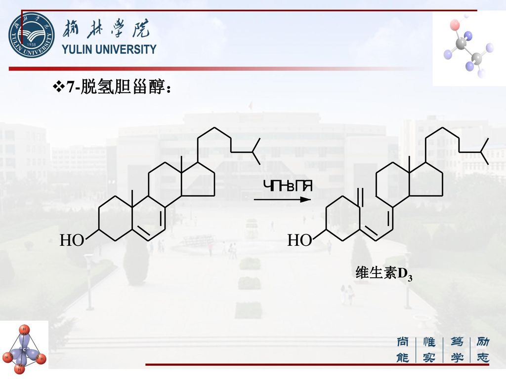 7-脱氢胆甾醇： 维生素D3